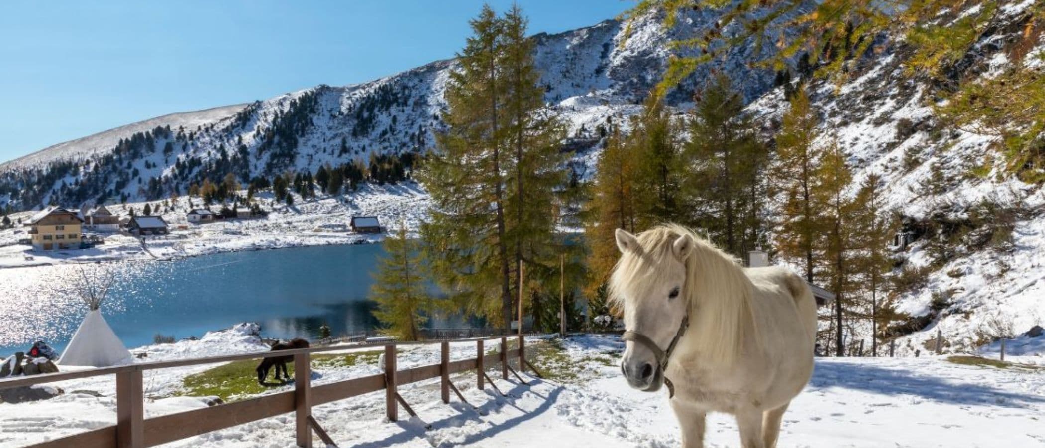Falkertsee & Heidi-Alm